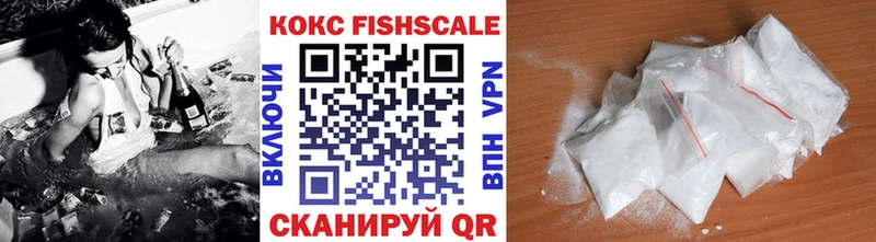 КОКАИН Fish Scale  Купить  Верхотурье 
