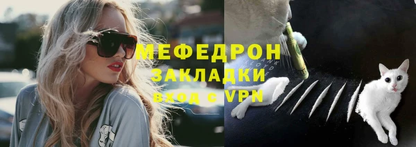 твердый Инсар