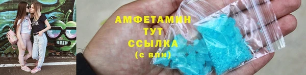 твердый Инсар