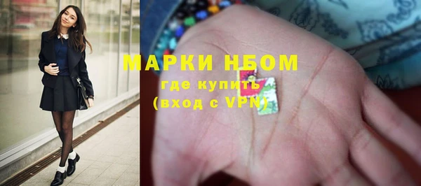 твердый Инсар