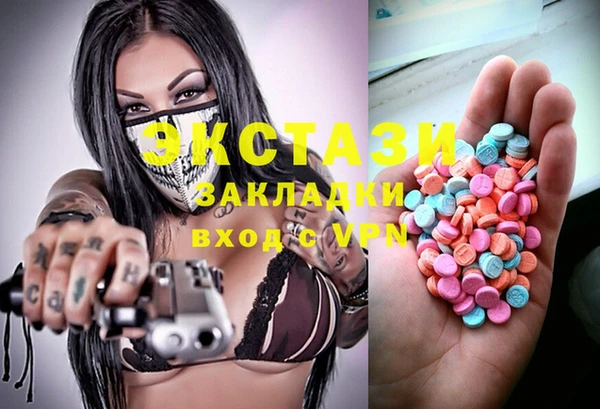 твердый Инсар