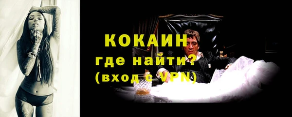 стаф Сосновоборск