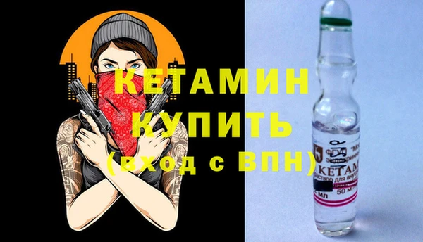 твердый Инсар