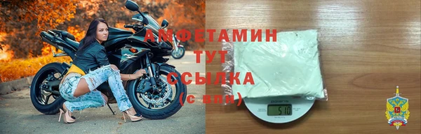 твердый Инсар