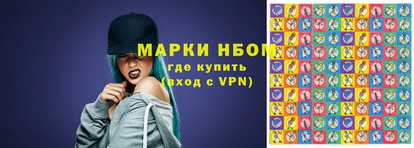 твердый Инсар